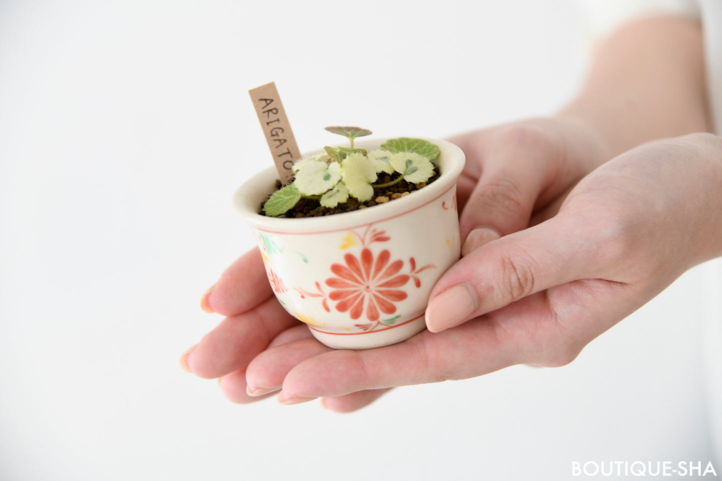 【書籍】カジュアルに楽しむ手のひら盆栽(M1543)