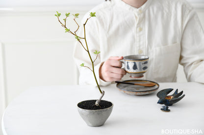 【書籍】カジュアルに楽しむ手のひら盆栽(M1543)