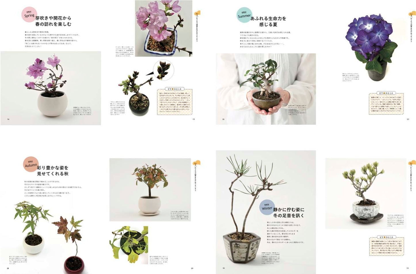 【書籍】カジュアルに楽しむ手のひら盆栽(M1543)