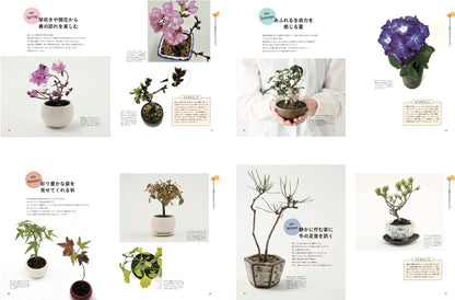 【書籍】カジュアルに楽しむ手のひら盆栽(M1543)