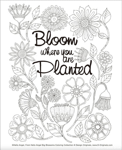 【書籍】Big Blossoms 美しい花のマンダラアート塗り絵(M1648)