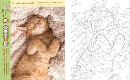 【書籍】癒しの塗り絵BOOK vol.2(M1628)