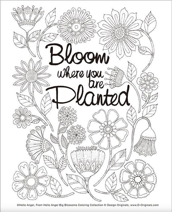 【書籍】Big Blossoms 美しい花のマンダラアート塗り絵(M1648)