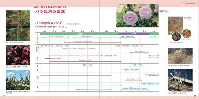 【書籍】バラを育てる(M1659)
