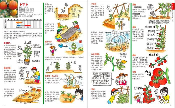 【書籍】増補改訂版　まんがでわかる野菜づくりとQ&A(M1663)