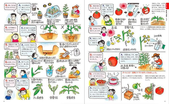【書籍】増補改訂版　まんがでわかる野菜づくりとQ&A(M1663)