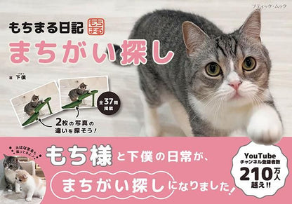 【書籍】もちまる日記　まちがい探し(M1681)