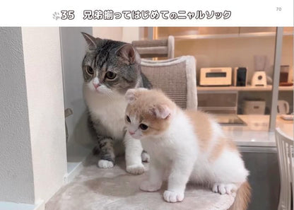【書籍】もちまる日記　まちがい探し(M1681)
