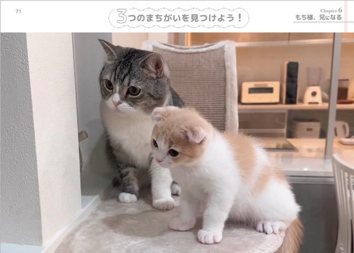 【書籍】もちまる日記　まちがい探し(M1681)