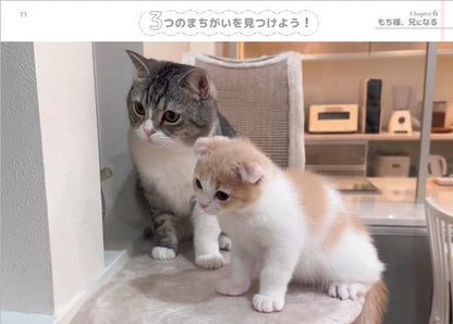 【書籍】もちまる日記　まちがい探し(M1681)