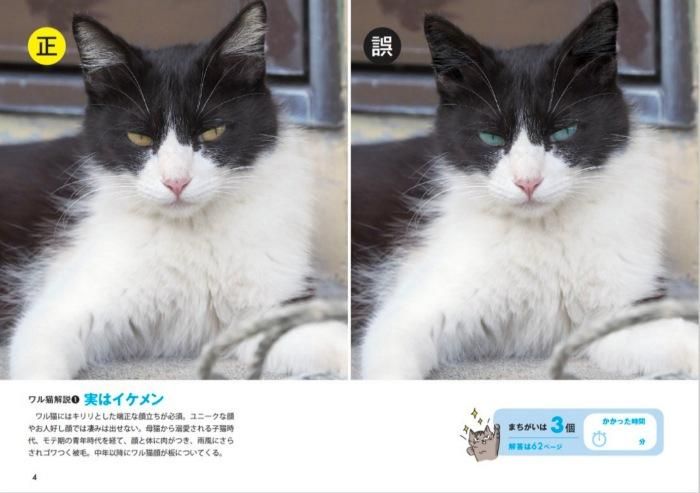 【書籍】ワル猫まちがい探し(M1718)