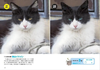 【書籍】ワル猫まちがい探し(M1718)