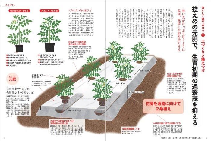 【書籍】もっとおいしくなる！　図解 有機家庭菜園の野菜づくり(M1739)