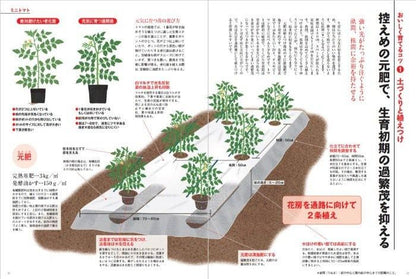 【書籍】もっとおいしくなる！　図解 有機家庭菜園の野菜づくり(M1739)