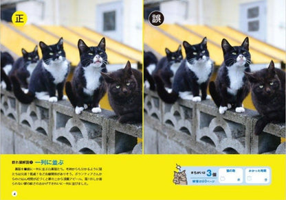 【書籍】群れ猫まちがい探し(M1751)