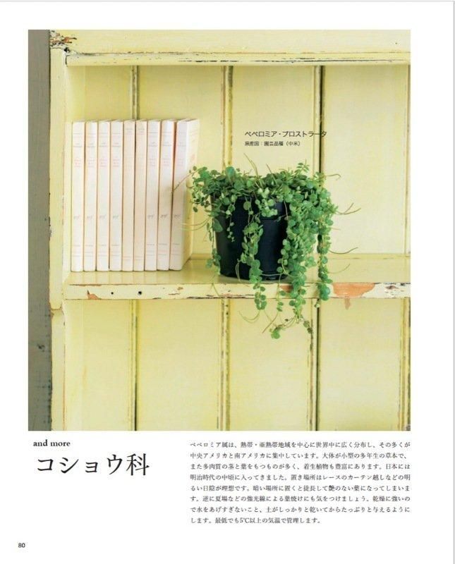【書籍】改訂版　INTERIOR GREEN インテリアグリーン(M1752)