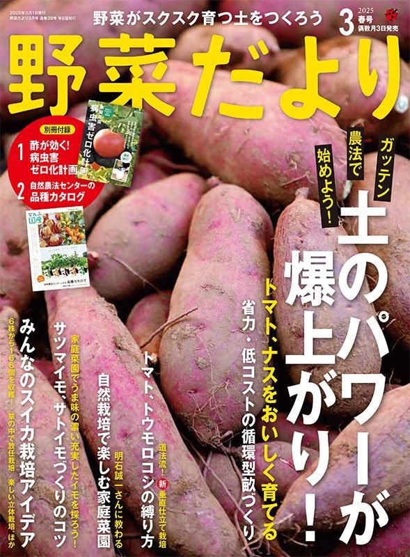 【書籍】野菜だより2025年3月春号(112503)