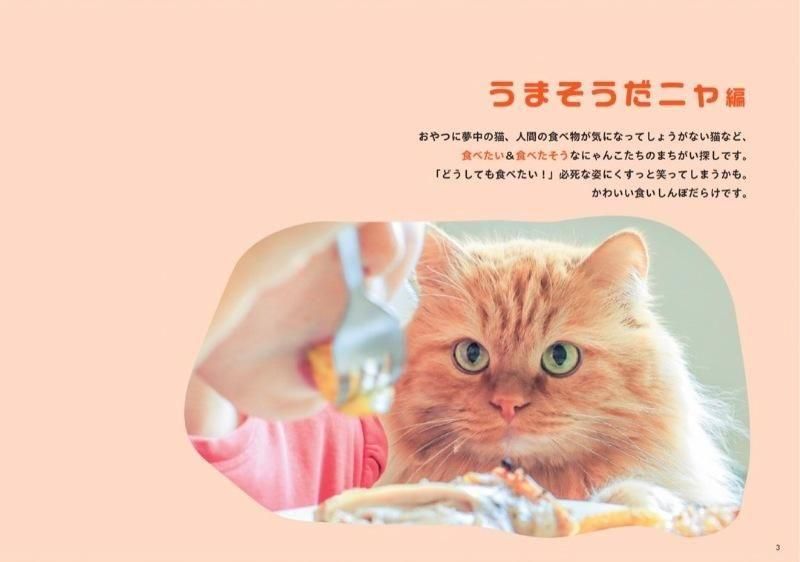 【書籍】にゃんこのまちがい探し ネコねんね＆うまそうだニャ(M1829)