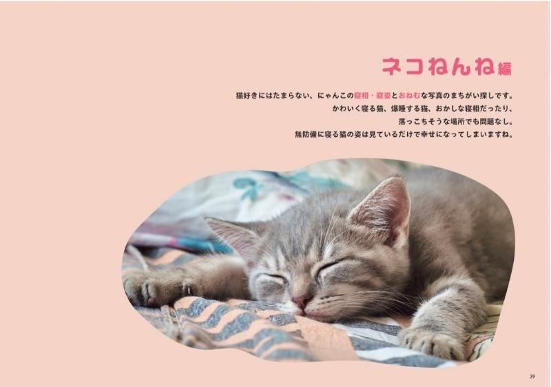 【書籍】にゃんこのまちがい探し ネコねんね＆うまそうだニャ(M1829)