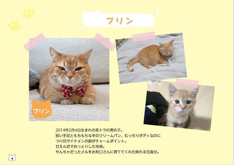 【書籍】短足マンチカンのプリンとメルのほっこりまちがい探し(M1846)
