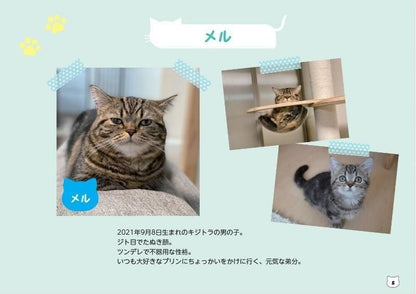 【書籍】短足マンチカンのプリンとメルのほっこりまちがい探し(M1846)