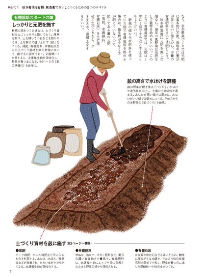【電子版】秋冬野菜づくり 超基本とコツのコツ 2021年版(野菜だより2021年9月号増刊)