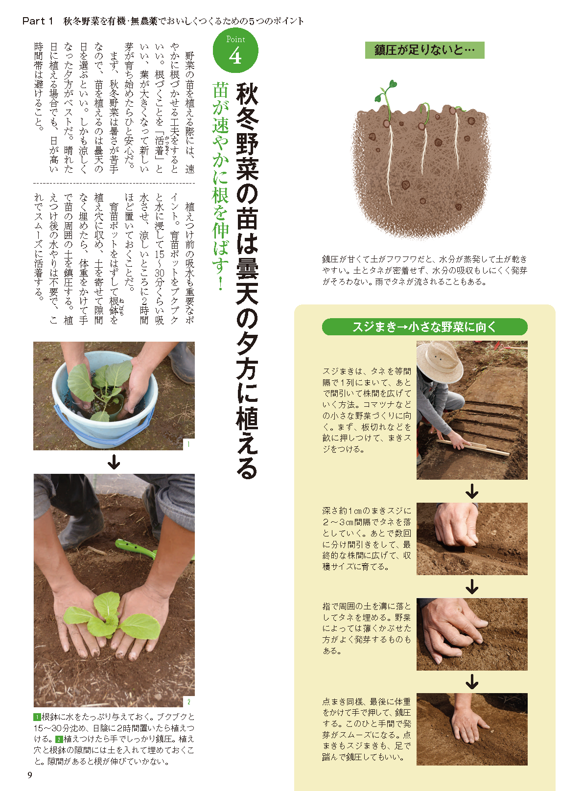 【電子版】秋冬野菜づくり 超基本とコツのコツ 2021年版(野菜だより2021年9月号増刊)