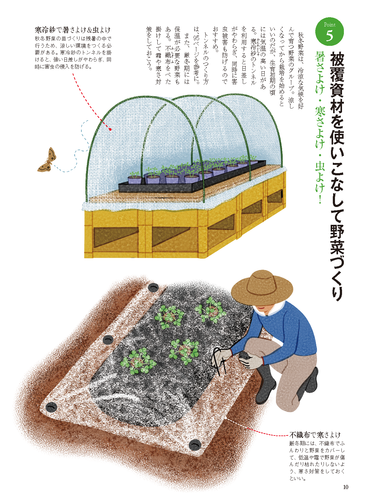 【電子版】秋冬野菜づくり 超基本とコツのコツ 2021年版(野菜だより2021年9月号増刊)