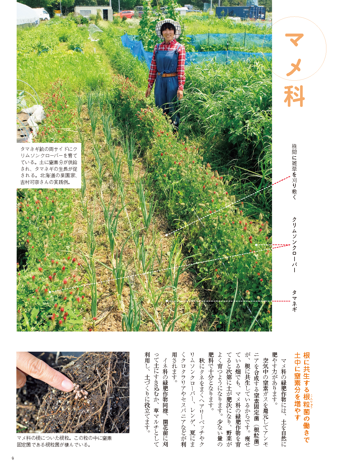 【書籍】野菜だより2022年11月冬号(112211)