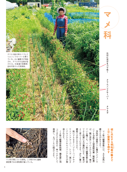 【書籍】野菜だより2022年11月冬号(112211)