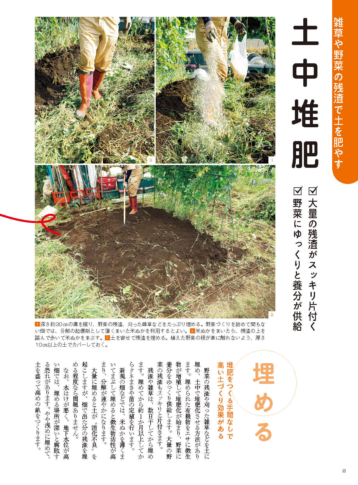 【書籍】野菜だより2022年11月冬号(112211)