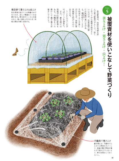 【電子版】秋冬野菜づくり 超基本とコツのコツ 2022年版（野菜だより2022年9月号増刊）(122209)