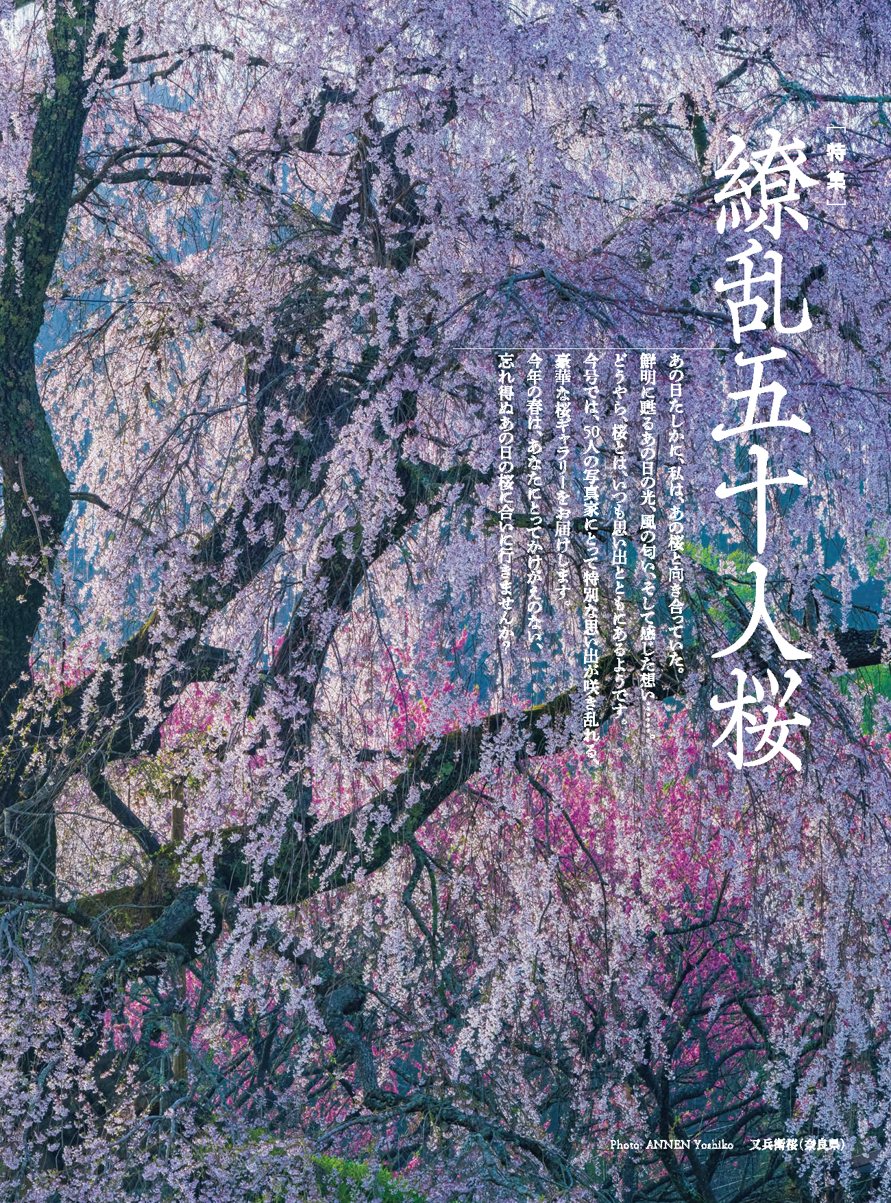 【電子版】風景写真2022年3-4月号(642203)