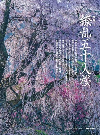【電子版】風景写真2022年3-4月号(642203)