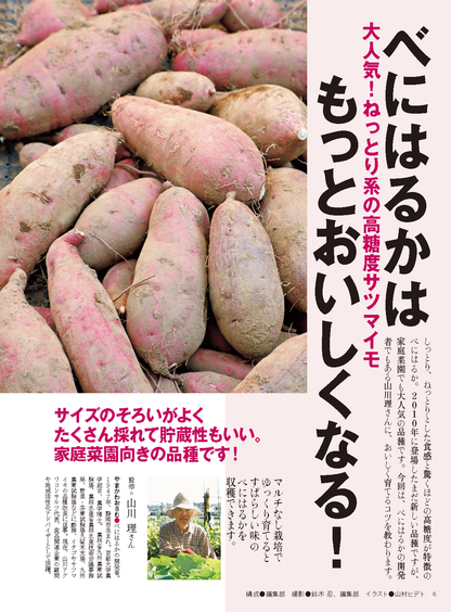 【電子版】野菜だより2022年3月号(112203)