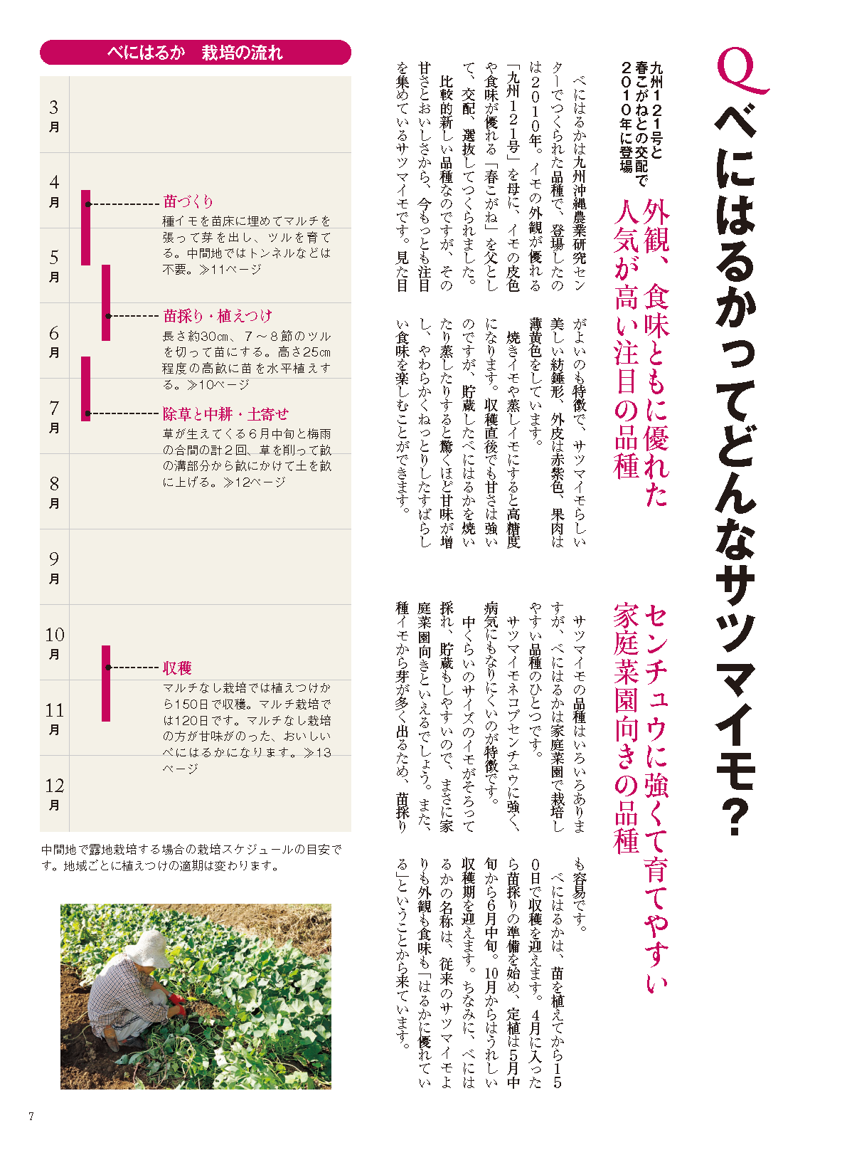 【電子版】野菜だより2022年3月号(112203)