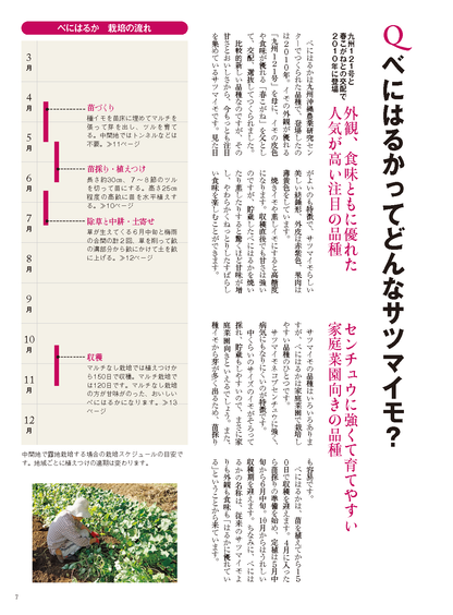 【電子版】野菜だより2022年3月号(112203)