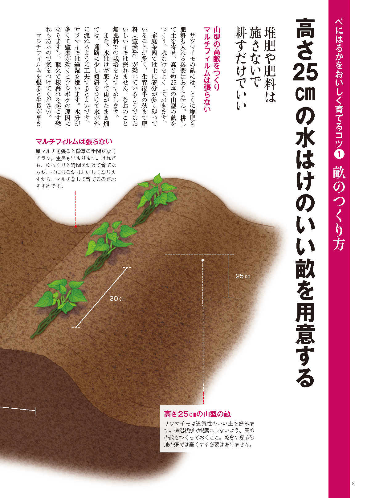 【電子版】野菜だより2022年3月号(112203)