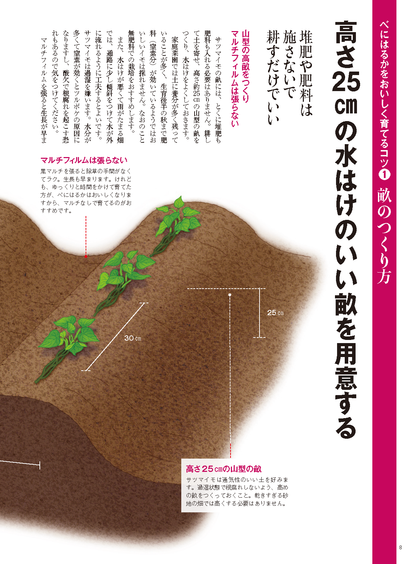 【電子版】野菜だより2022年3月号(112203)