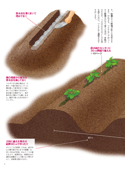 【電子版】野菜だより2022年3月号(112203)