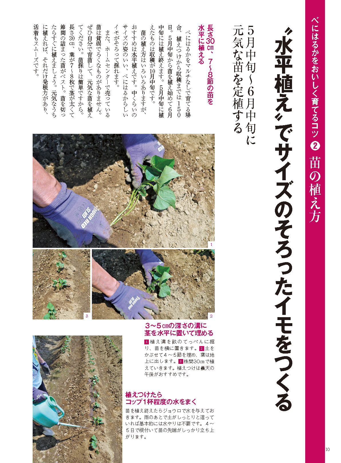 【電子版】野菜だより2022年3月号(112203)
