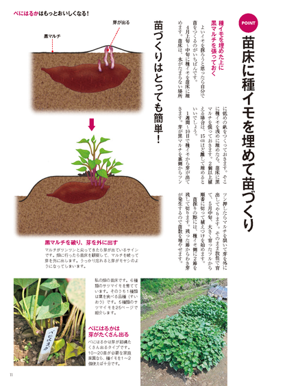 【電子版】野菜だより2022年3月号(112203)