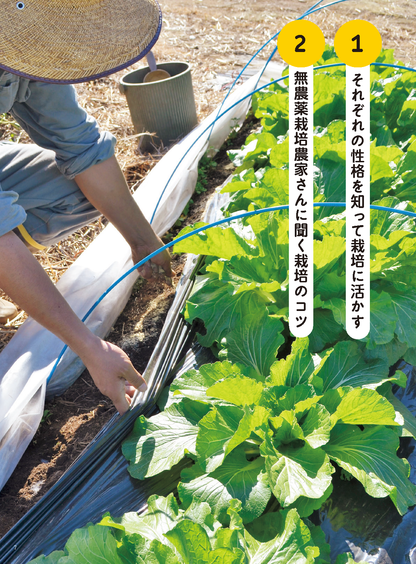【電子版】野菜だより2022年7月夏号(112207)