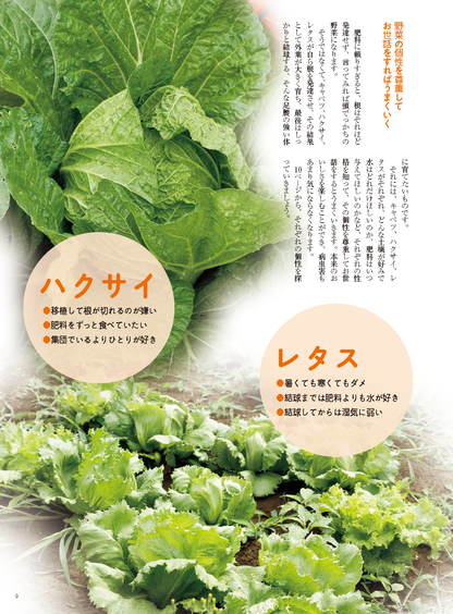 【電子版】野菜だより2022年7月夏号(112207)