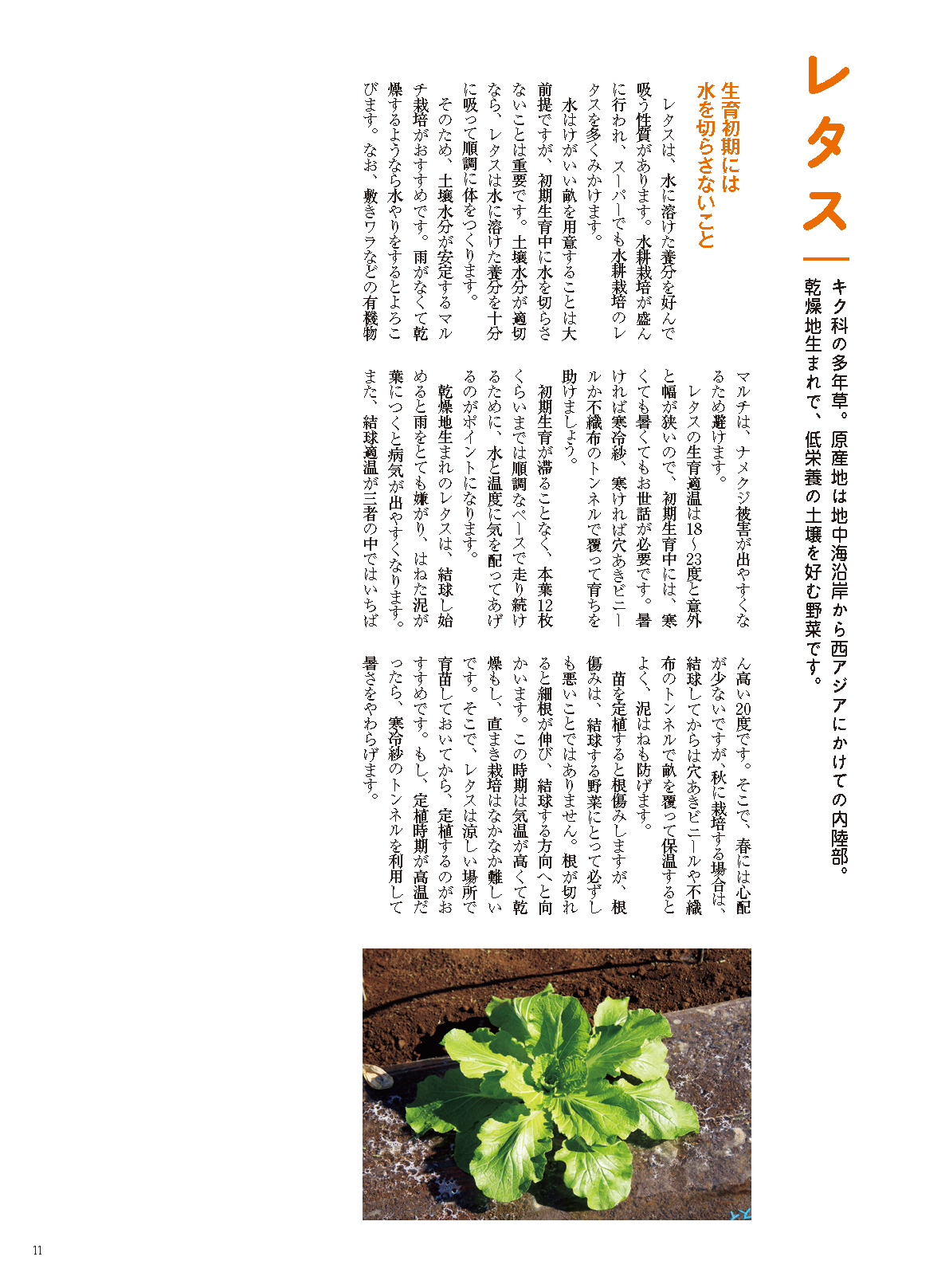 【電子版】野菜だより2022年7月夏号(112207)
