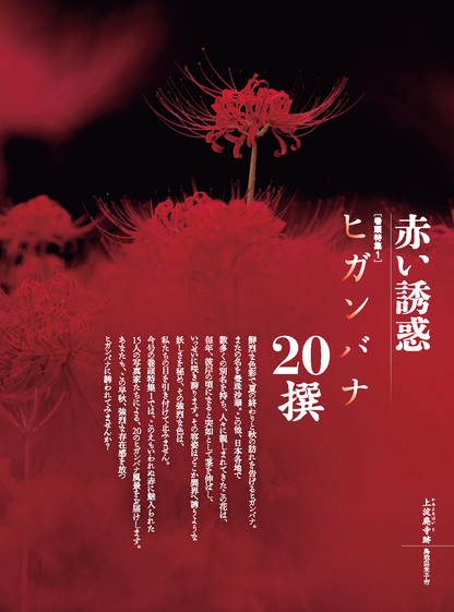 【電子版】風景写真2022年9-10月号(642209)