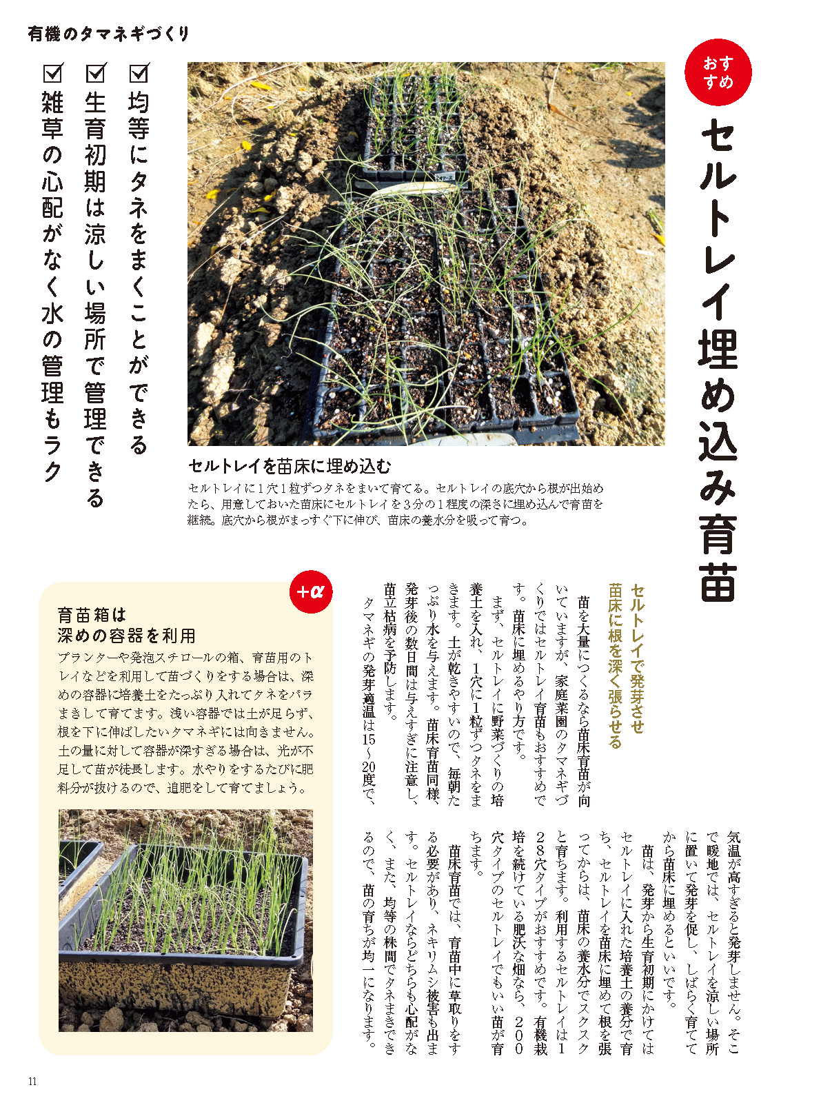 【書籍】野菜だより2022年9月秋号(112209)