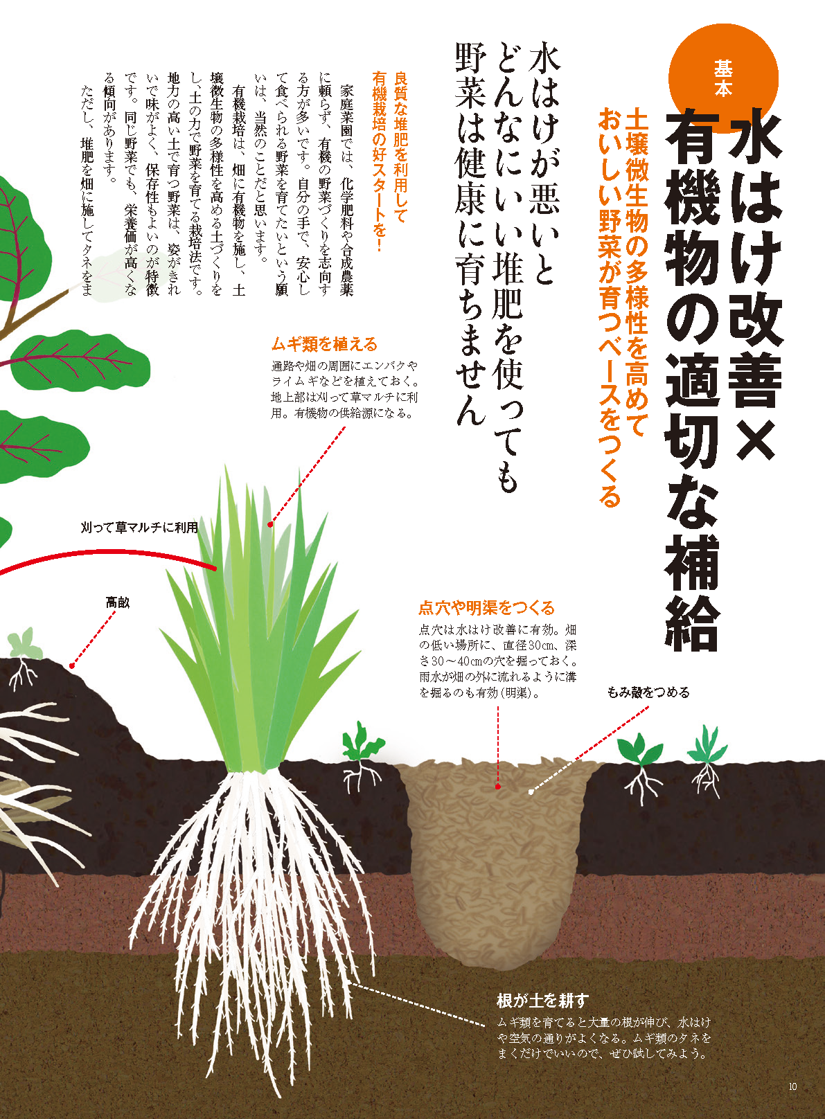 【電子版】野菜だより2023年11月冬号(112311)