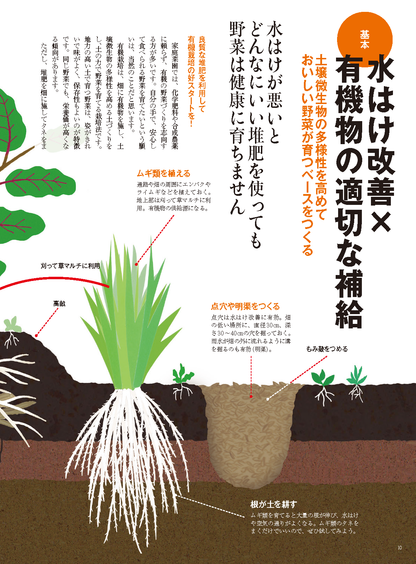 【電子版】野菜だより2023年11月冬号(112311)