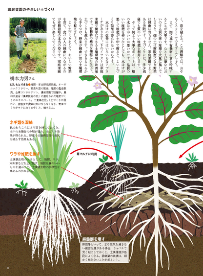 【電子版】野菜だより2023年11月冬号(112311)